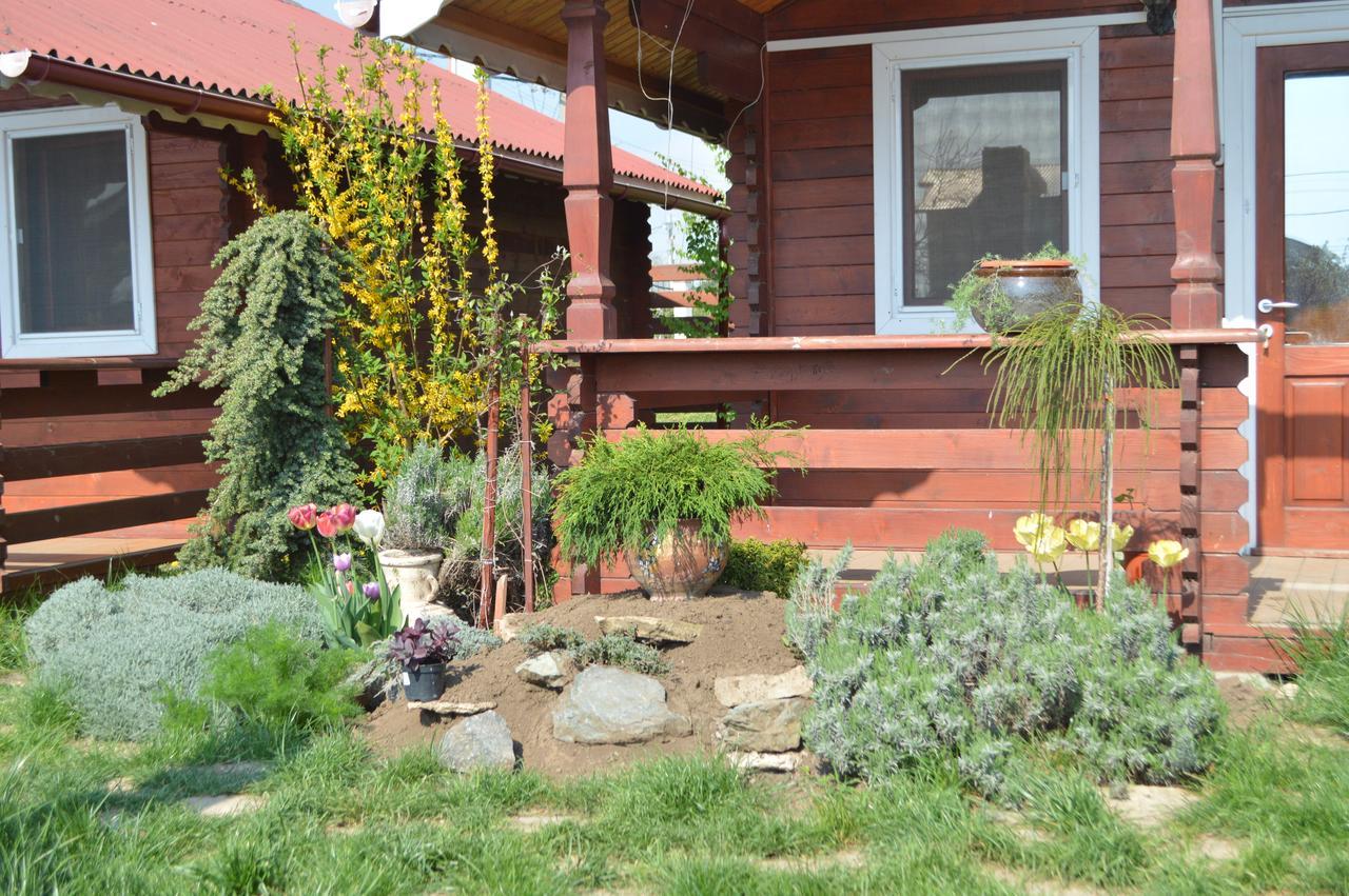 Cabane De Lemn Costinesti Exterior photo