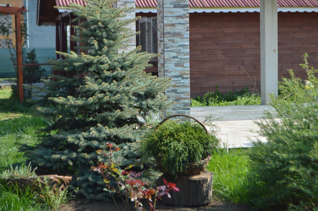 Cabane De Lemn Costinesti Exterior photo