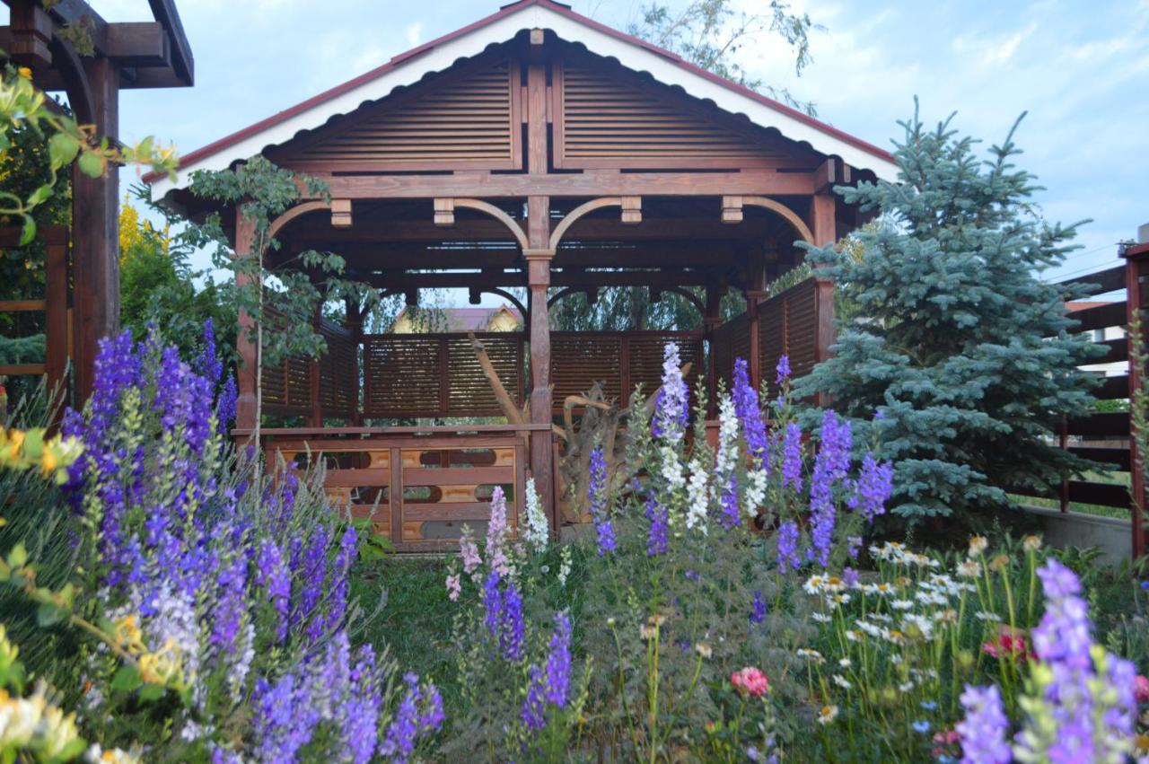 Cabane De Lemn Costinesti Exterior photo