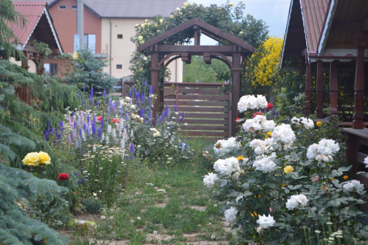 Cabane De Lemn Costinesti Exterior photo